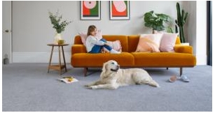 A Guide To Choosing The Perfect Carpet For Your Room