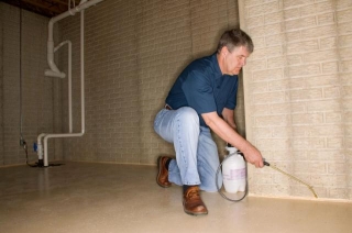 Wall And Basement Dampness In Your Home