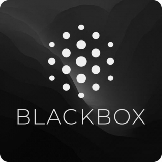 How To Use Blackbox AI: The Simplest Guide For 10x Result