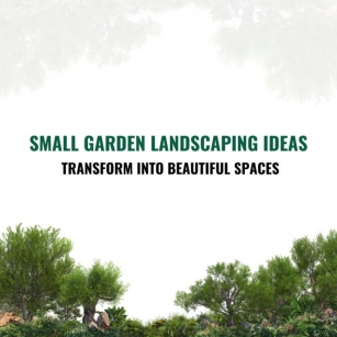 Small Garden Landscaping Ideas: Transform Into Beautiful Spaces