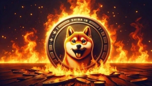 Dogecoin And Shiba Inu Plummet As Meme Coin Market Faces Major Correction