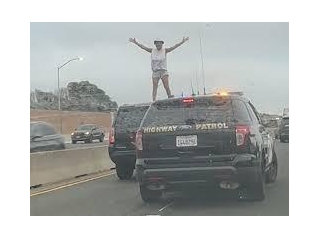 Police Chase On L.A. Freeway: Woman Strips Naked On Car Roof