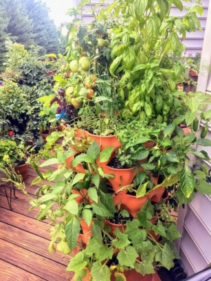 7 Creative Vertical Garden Ideas For Your Balcony