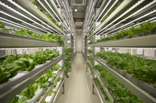 Vertical Farming Market Is Anticipated To Witness High Growth Owing To Need For Higher Crop Production