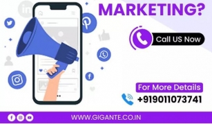 Revolutionize Your Marketing Statergy Choosing The Top Digital Marketing Company In Pune For Gigante Technologies