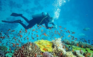 A Detailed Guide For Scuba Diving In Grand Island
