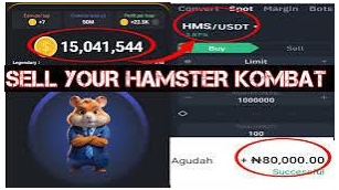 Guide On How To Withdraw Hamster Kombat Coins To USD And Naria Today Update 2024