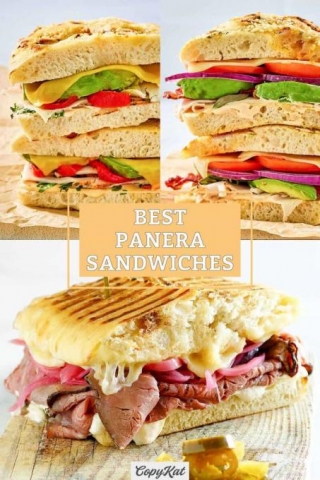 Best Panera Sandwiches