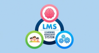 LMS For Trainers: How It Helps Streamline Training