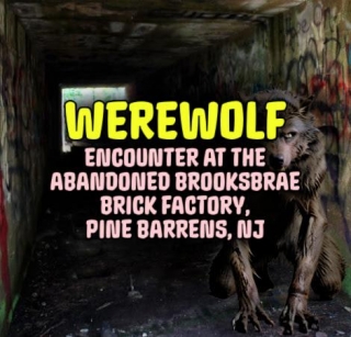 WEREWOLF Encounter At The Abandoned Brooksbrae Brick Factory, Pine Barrens, NJ