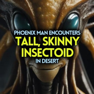 Phoenix Man Encounters TALL, SKINNY INSECTOID In Desert (VIDEO & SKETCH)
