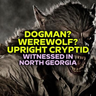 DOGMAN? WEREWOLF? UPRIGHT CRYPTID Witnessed In North Georgia