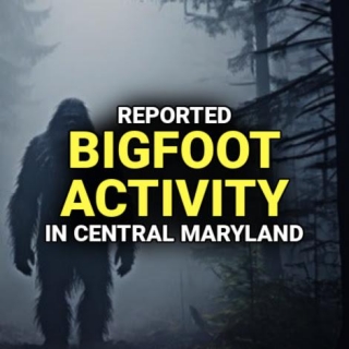 Reported BIGFOOT ACTIVITY In Central Maryland