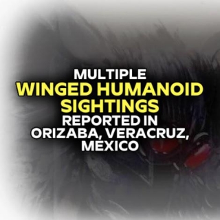 Multiple WINGED HUMANOID SIGHTINGS Reported In Orizaba, Veracruz, Mexico