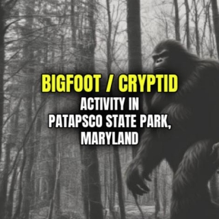 BIGFOOT / CRYPTID Activity In Patapsco State Park, Maryland