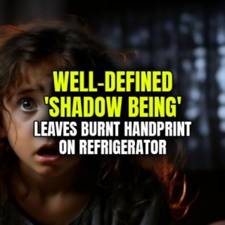 WELL-DEFINED 'SHADOW BEING' Leaves Burnt Handprint On Refrigerator