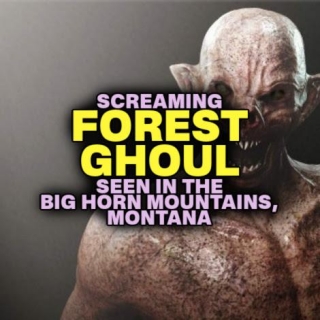 Screaming 'FOREST GHOUL' Seen In The Big Horn Mountains, Montana