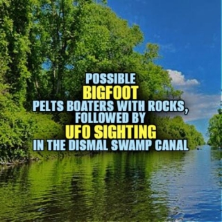Possible BIGFOOT Pelts Boaters With Rocks, Followed By UFO Sighting In The Dismal Swamp Canal