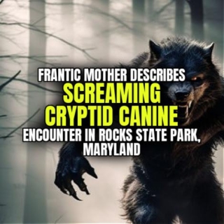 Frantic Mother Describes SCREAMING CRYPTID CANINE Encounter In Rocks State Park, Maryland