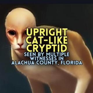 UPRIGHT CAT-LIKE CRYPTID Seen By Multiple Witnesses In Alachua County, Florida