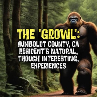THE 'GROWL': Humboldt County, CA Resident's Natural, Though Interesting, Experiences