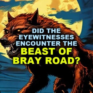 Did The Eyewitnesses Encounter The BEAST OF BRAY ROAD?