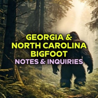 GEORGIA & NORTH CAROLINA BIGFOOT Notes & Inquiries