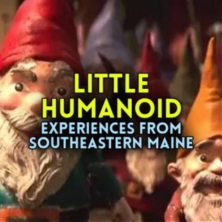 LITTLE HUMANOID Experiences From Southeastern Maine