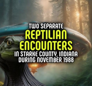 Two Separate REPTILIAN ENCOUNTERS In Starke County, Indiana During November 1988
