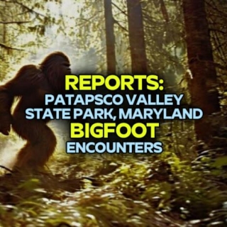REPORTS: Patapsco Valley State Park, Maryland BIGFOOT Encounters