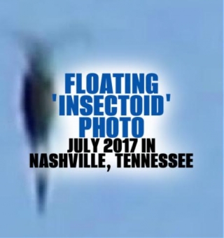 Archive: FLOATING 'INSECTOID' PHOTO - July 2017 - Nashville, Tennessee