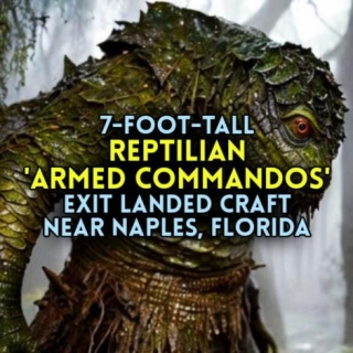 7-Foot-Tall REPTILIAN 'ARMED COMMANDOS' Exit Landed Craft Near Naples, Florida