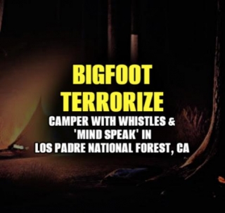 BIGFOOT TERRORIZE Camper With Whistles & 'Mind Speak' In Los Padre National Forest, CA