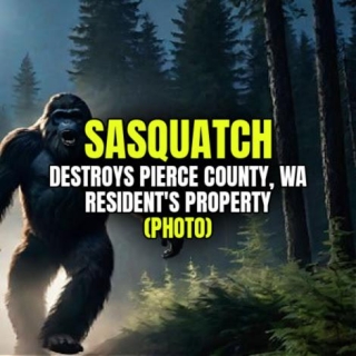 SASQUATCH Destroys Pierce County, WA Resident's Property (PHOTO)
