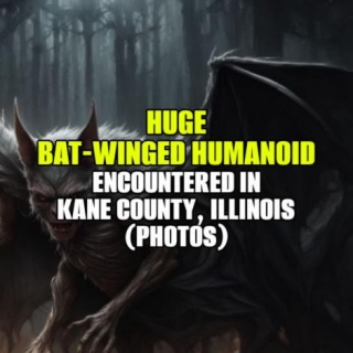 HUGE BAT-WINGED HUMANOID Encountered In Kane County, Illinois (PHOTOS)