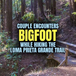 Couple Encounters BIGFOOT While Hiking The Loma Prieta Grade Trail