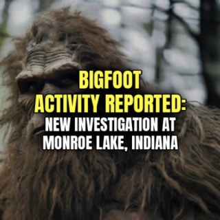BIGFOOT ACTIVITY REPORTED: New Investigation At Monroe Lake, Indiana