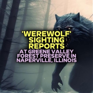 'WEREWOLF' SIGHTING REPORTS At Greene Valley Forest Preserve In Naperville, Illinois