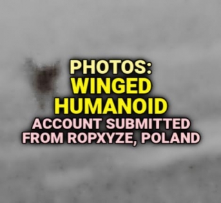 PHOTOS: WINGED HUMANOID Account Submitted From Ropxyze, Poland