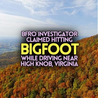 BFRO Investigator Claimed Hitting BIGFOOT While Driving Near High Knob, Virginia (PHOTO)