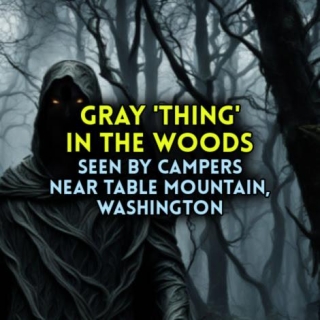 GRAY 'THING' IN THE WOODS Seen By Campers Near Table Mountain, Washington