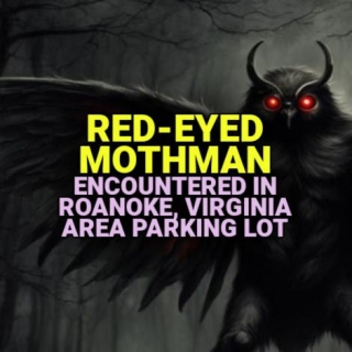 RED-EYED MOTHMAN Encountered In Roanoke, Virginia Area Parking Lot