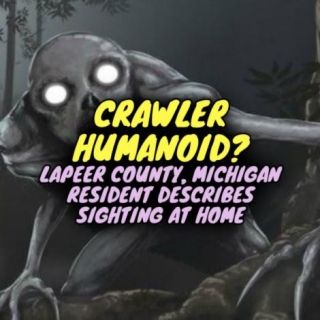 CRAWLER HUMANOID? Lapeer County, Michigan Resident Describes Sighting At Home
