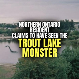 Northern Ontario Resident Claims To Have Seen The 'TROUT LAKE MONSTER'