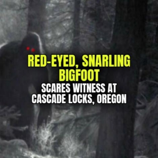 RED-EYED, SNARLING BIGFOOT Scares Witness At Cascade Locks, Oregon