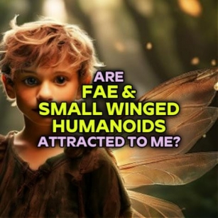 'Are FAE & SMALL WINGED HUMANOIDS Attracted To Me?'
