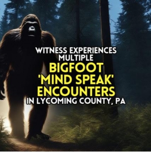 Witness Experiences Multiple BIGFOOT 'MIND SPEAK' ENCOUNTERS In Lycoming County, PA