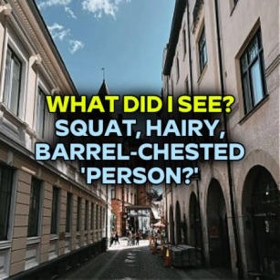 WHAT DID I SEE? Squat, Hairy, Barrel-Chested 'Person?'