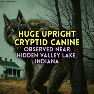 HUGE UPRIGHT CRYPTID CANINE Observed Near Hidden Valley Lake, Indiana