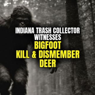 Indiana Trash Collector Witnesses BIGFOOT KILL & DISMEMBER DEER
